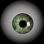 Dark Grey Europe - Green eye